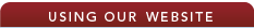 Using Our Website